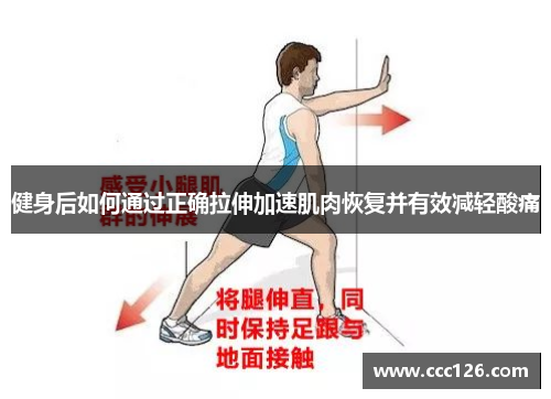 健身后如何通过正确拉伸加速肌肉恢复并有效减轻酸痛