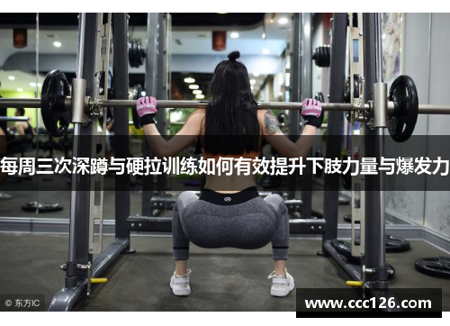 每周三次深蹲与硬拉训练如何有效提升下肢力量与爆发力